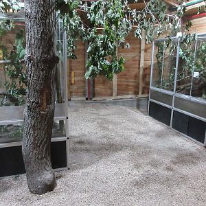 Mouse House - interior