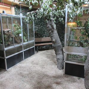 Mouse House - interior