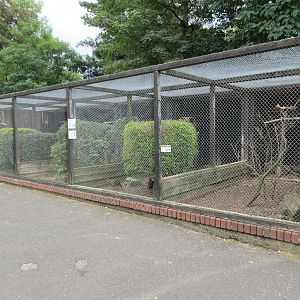 Assorted Aviaries