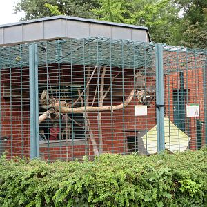 Crab-eating Macaque Exhibit