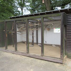 Budgie Aviary
