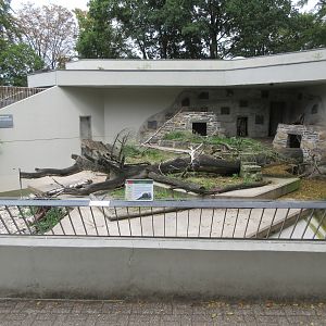 Small-clawed Otter Exhibit
