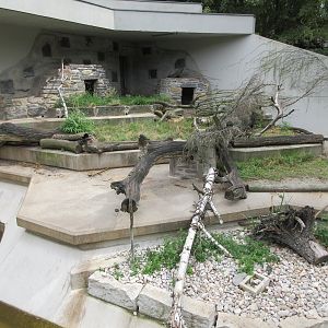 Small-clawed Otter Exhibit