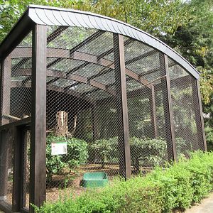 Eurasian Eagle Owl Exhibit