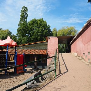 Playground area, Pathway to Bird Museum and Squirrel monkey house, 2019-08-04