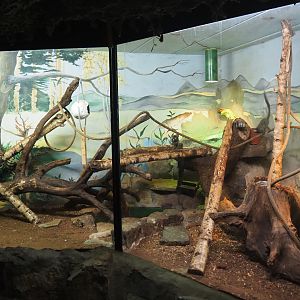 Common marmoset exhibit, 2019-08-04