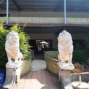 Slider turtle and koi pond with bridge and lion statues near restaurant building, 2019-06-01