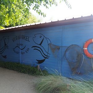 Boulders Beach African penguin exhibit - Fisheries theming on wall, 2019-08-11