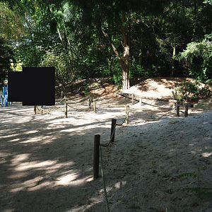 Boulders Beach - African black-footed penguin walk-through exhibit, 2019-08-11