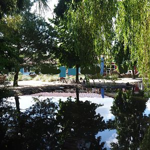 Boulders Beach - African black-footed penguin walk-through exhibit, 2019-08-11