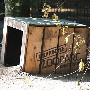 African black-footed penguin nesting box, 2019-08-11