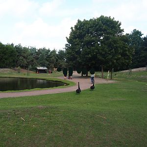 Australian Outback walk-through exhibit, 2019-08-11