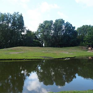 Australian Outback - Dromedary camel paddock, 2019-08-11