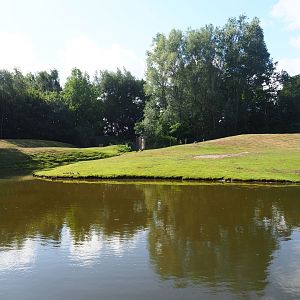 Australian Outback - Dromedary camel paddock, 2019-08-11