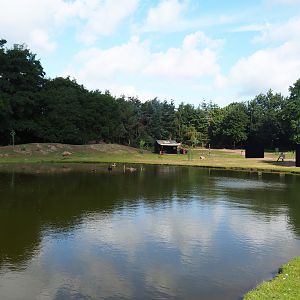 Australian Outback walk-through exhibit, 2019-08-11