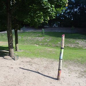 Australian Outback walk-through exhibit, 2019-08-11