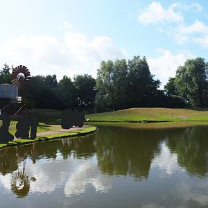 Australian Outback walk-through exhibit, 2019-08-11