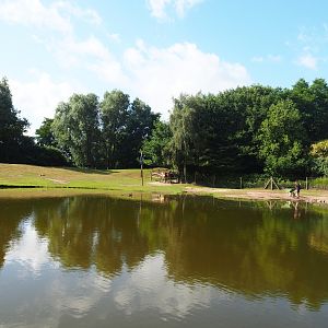 Australian Outback - Dromedary camel paddock, 2019-08-11