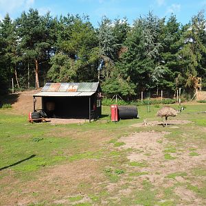 Australian Outback walk-through exhibit - Outback gas station theming, 2019-08-11