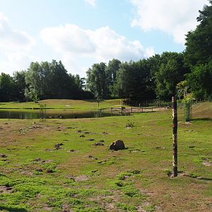 Australian Outback walk-through exhibit, 2019-08-11