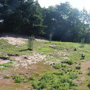 Australian Outback walk-through exhibit, 2019-08-11