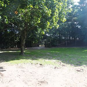 Australian Outback walk-through exhibit - Zone near holding areas, 2019-08-11