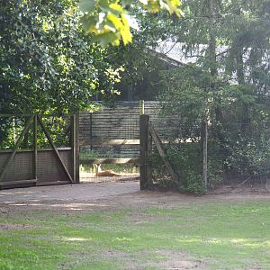 Australian Outback exhibit - Holding areas and stable building, 2019-08-11