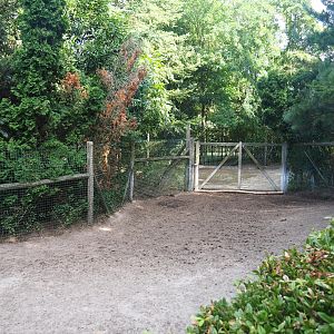 Capybara - Crested screamer - South American tapir exhibit - Access to holding areas, 2019-08-11