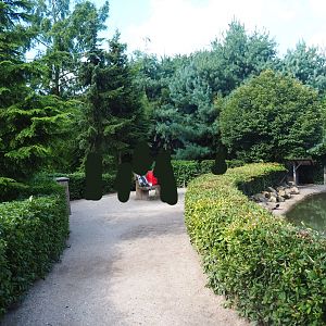 Capybara, Crested screamer and South American tapir viewing area, 2019-08-11