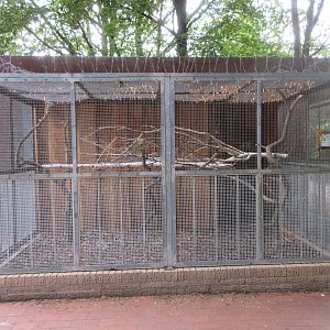 Aviary (with barbed wire on top)