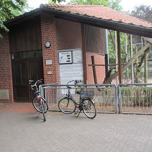 Tufted Capuchin Exhibit
