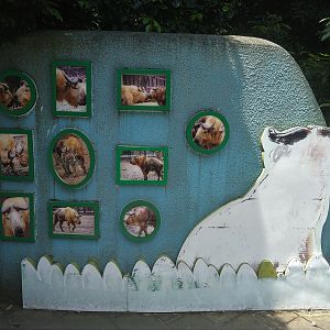 Takin Interpretation