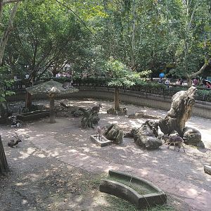 Bharal and Blackbuck Exhibit