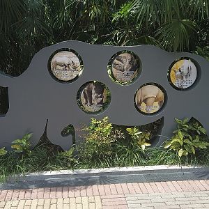 Rhino Interpretation