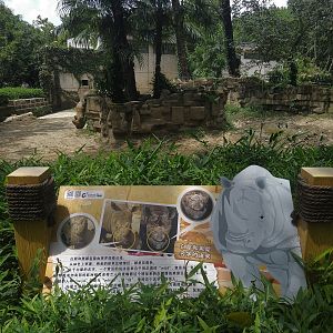 White Rhino Exhibit