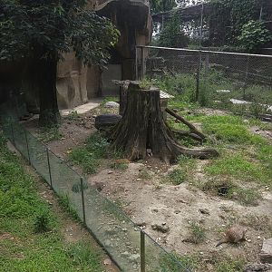Meerkat Exhibit