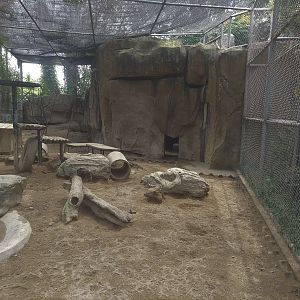 Wolf Exhibit