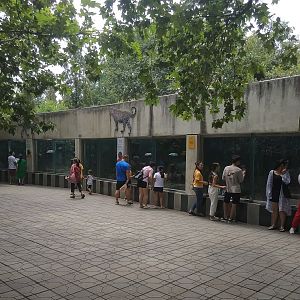 Leopard House Viewing