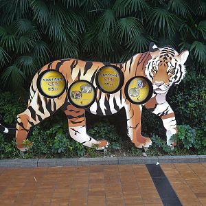 Tiger Interpretation