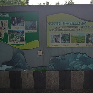 Threats to Bears Signage