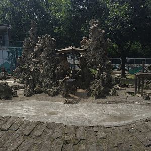 Macaque Enclosure