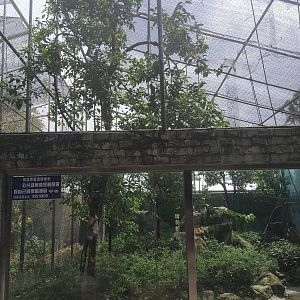 Primate Exhibit