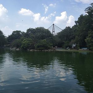 Lake with Aviary Backdrop