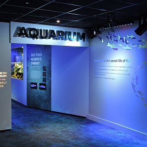 Aquarium Entrance