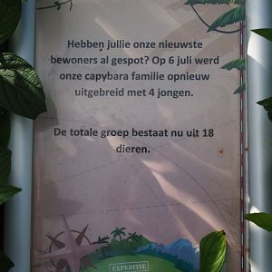 Sign Capybaras - Recent birth makes 18 (!) capybaras at Zoo Parc Overloon, 2019-08-11