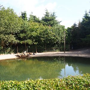 Capybara - Crested screamer - South American tapir exhibit - 2019-08-11