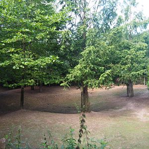 Capybara - Crested screamer - South American tapir exhibit - 2019-08-11