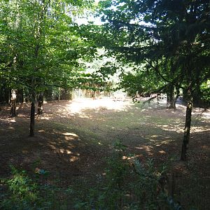 Capybara - Crested screamer - South American tapir exhibit - 2019-08-11