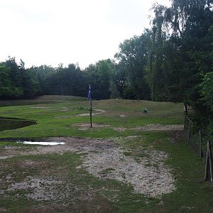 Australian Outback - Dromedary camel paddock, 2019-08-11