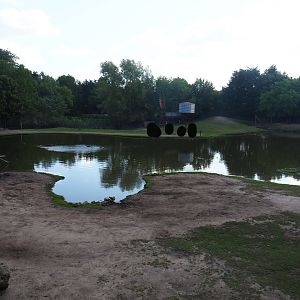 Australian Outback - Walk-through exhibit and dromedary camel paddock, 2019-08-11